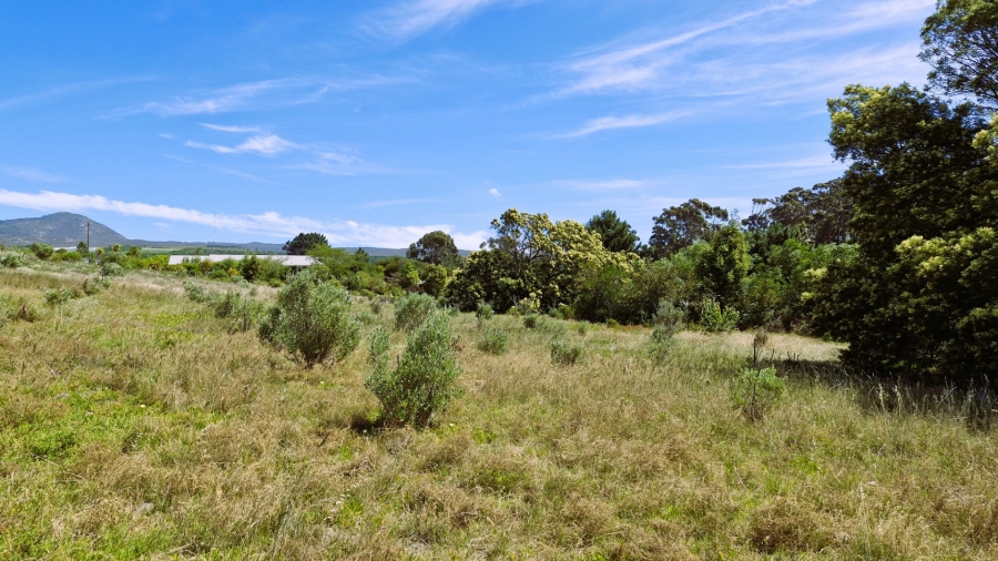 Commercial Property for Sale in Napier Western Cape